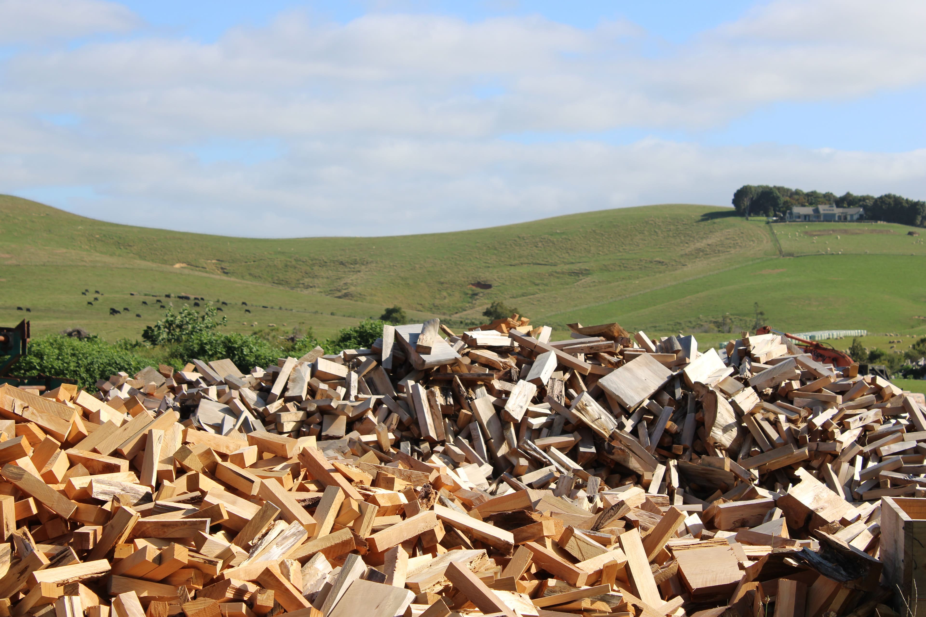 Firewood